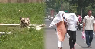 প্রচণ্ড গরমে দিল্লি ও পাঞ্জাবে রেড অ্যালার্ট জারি